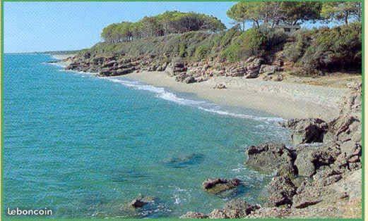 Villa Praticcioni Linguizzetta Esterno foto