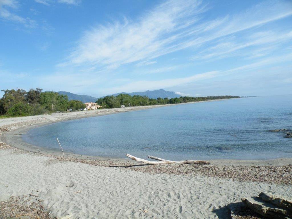 Villa Praticcioni Linguizzetta Esterno foto