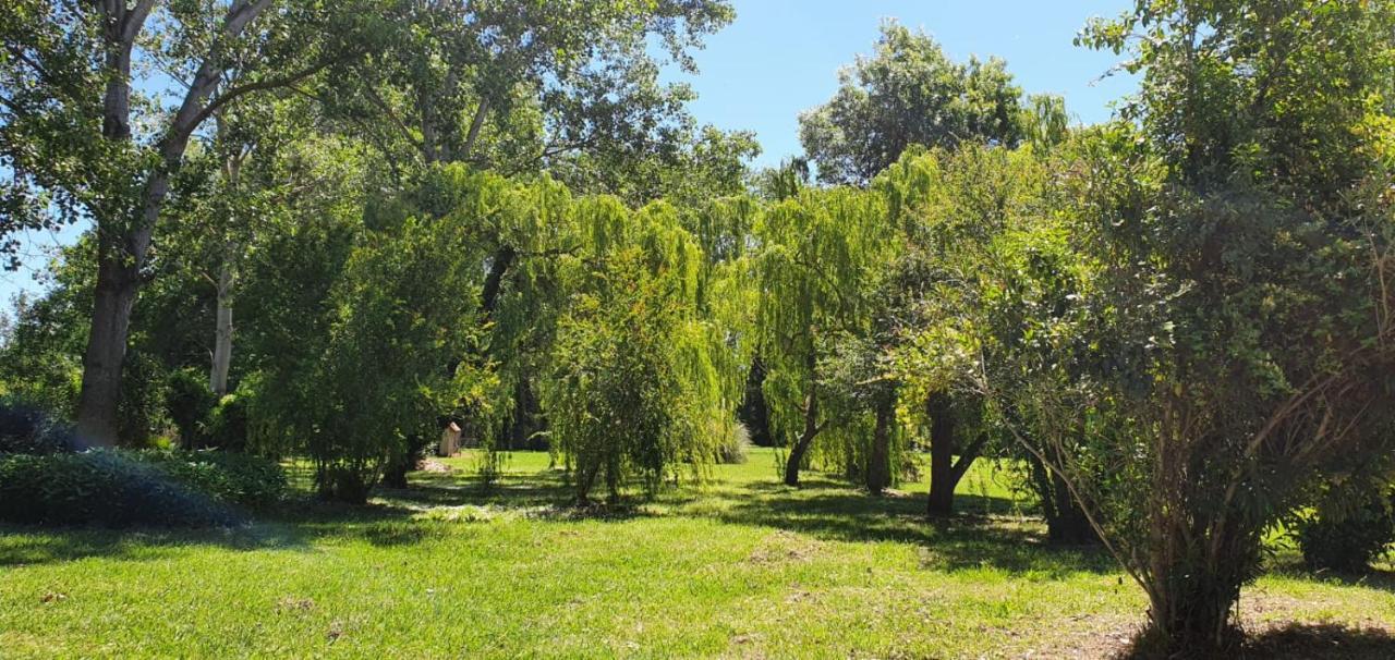 Villa Praticcioni Linguizzetta Esterno foto