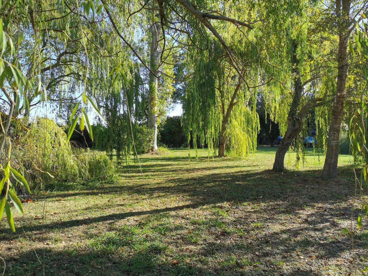 Villa Praticcioni Linguizzetta Esterno foto