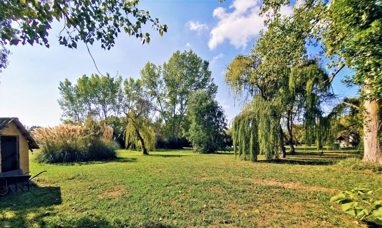 Villa Praticcioni Linguizzetta Esterno foto