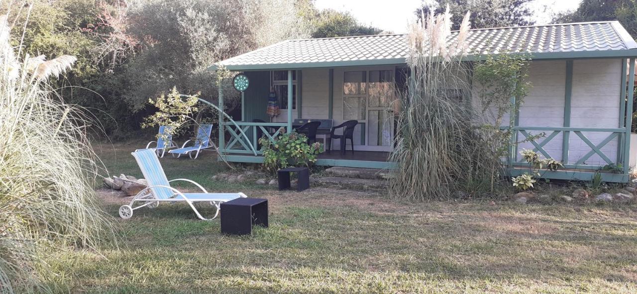 Villa Praticcioni Linguizzetta Esterno foto